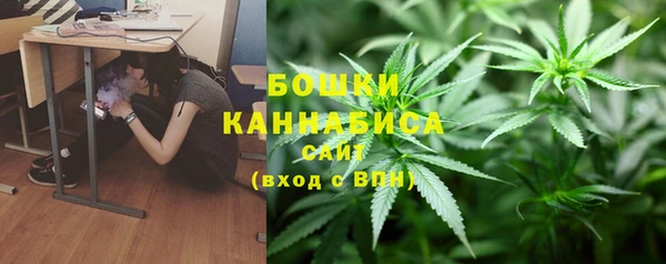 гидра Бежецк
