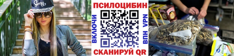мега ссылка Зима это наркотические препараты Галлюциногенные грибы мицелий