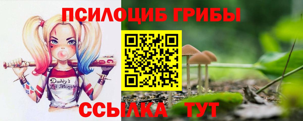 Зима  Галлюциногенные грибы Cubensis  Вход с VPN  Галлюциногенные грибы Psilocybe 