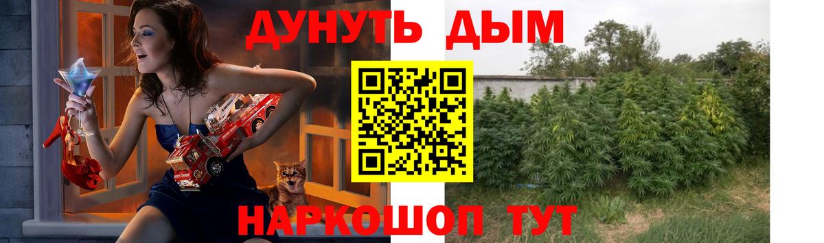 Конопля конопля Зима